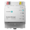 System Manager