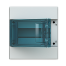 Consumer unit MISTRAL65 transparent door 8M