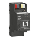 L1