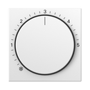 Cover for room temperature controller