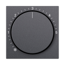 Cover for room temperature controller