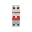 SD202/25 Switch Disconnector 2P 25A