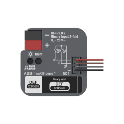 BI-F-2.0.2 Binary Input, 2-fold, FM