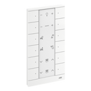 SB-F-12.0.1 - 12 Gang Control