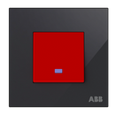 Switch 1-gang, 1-way, DP premium 45A