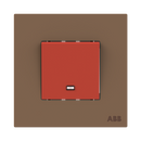 Switch 1-gang, 1-way, DP premium 45A