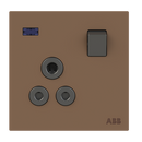 BS DP round pin switched outlet w/LED 15A - Millenium