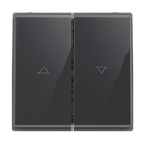 Switch blind control