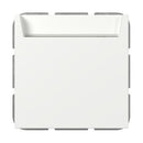 Hotel-card switch 10 AX 250 V~ 1-pole NO contact with N terminal