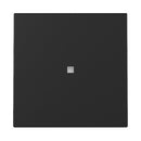 1 Gang Rocker with control window