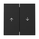 Rocker, 2-gang with arrow symbol