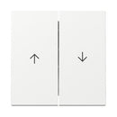 Rocker, 2-gang with arrow symbol