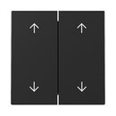 Rocker, 2-gang with arrow symbols