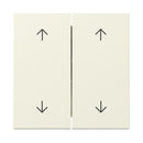 Rocker, 2-gang with arrow symbols