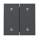 Rocker, 2-gang with arrow symbols