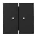 2 Gang Rocker with control window