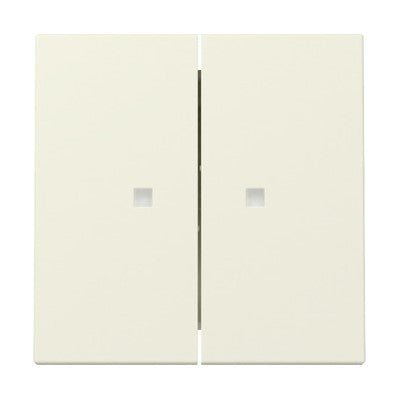 Gira 2 Gang Rocker with control window