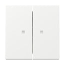 2 Gang Rocker with control window