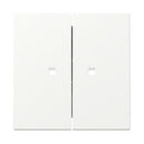 2 Gang Rocker with control window