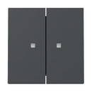 2 Gang Rocker with control window