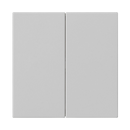 System 3000 operating top unit 2-gang System 55