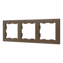 ZS55. Frames