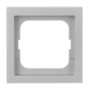 Future Linear Frames