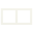 2-fold plastic plate, 60x60 windows