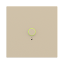 Magnetic square plate Proxima (Inscribed)