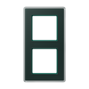 A VIVA frames (Glass)