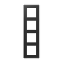 A VIVA frames (Glass)