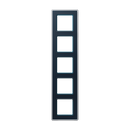 A VIVA frames (Glass)