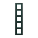 A VIVA frames (Glass)