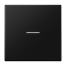 JUNG HOME push-button, duroplastic, LS range