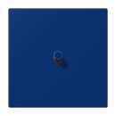 Centre plate with toggle lever "cylinder", 1 toggle lever, LS 1912 range