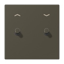 Centre plate with toggle lever "cylinder", 2 toggle levers, with arrow symbols, LS 1912 range