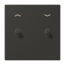 Centre plate with toggle lever "cylinder", 2 toggle levers, with arrow symbols, LS 1912 range