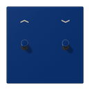 Centre plate with toggle lever "cylinder", 2 toggle levers, with arrow symbols, LS 1912 range