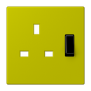 Centre plate for socket insert BS 3171EINS - Les Couleurs® Le Corbusier