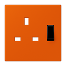 Centre plate for socket insert BS 3171EINS - Les Couleurs® Le Corbusier