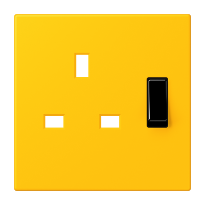 Centre plate for socket insert BS 3171EINS - Les Couleurs® Le Corbusier