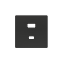 ZS55 – USB C+A Cover Plate