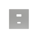 ZS55 – USB C+A Cover Plate