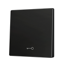 ZS55. Cover for KNX Soft push button 55x55mm