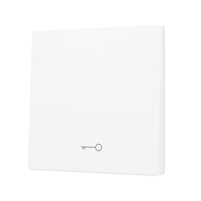 ZS55. Cover for KNX Soft push button 55x55mm