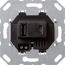 Insert for USB power supply, 2-gang Outputs Type A & C