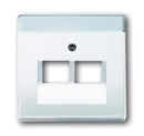 Cover plate for 2g Data socket