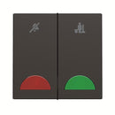 Switch 2-gang, DND/MUR 10AX