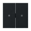 Rocker, blank with control window System 55