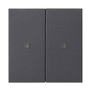 Rocker, blank with control window System 55